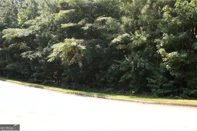 8747 Camron Drive, Winston, GA 30187 - Photo 16