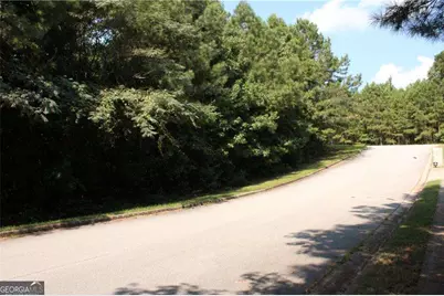 8747 Camron Drive, Winston, GA 30187 - Photo 14