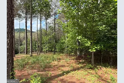 Lot 9 Eastview Trail, Ellijay, GA 30536 - Photo 8