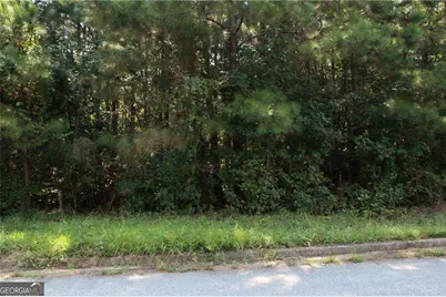 7718 Cheviot Drive, Winston, GA 30187 - Photo 14