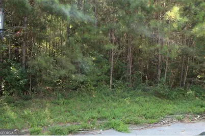 7728 Cheviot Drive, Winston, GA 30187 - Photo 14