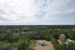 1337 H G Miles Dr, Shellman Bluff, GA 31331 - Photo 6