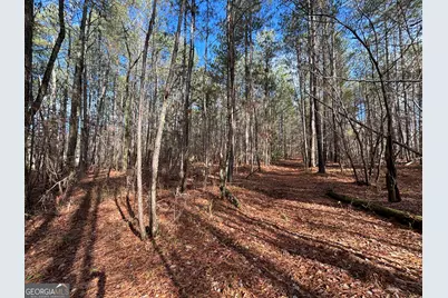 2910 Hwy 212, Covington, GA 30016 - Photo 14