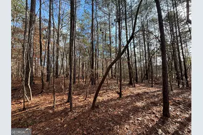 2910 Hwy 212, Covington, GA 30016 - Photo 12