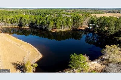 2685 Carters Bridge Road, Claxton, GA 30417 - Photo 10