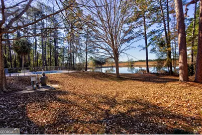 2685 Carters Bridge Road, Claxton, GA 30417 - Photo 56