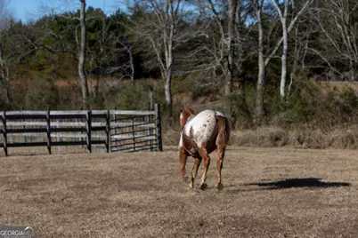 2685 Carters Bridge Road, Claxton, GA 30417 - Photo 54