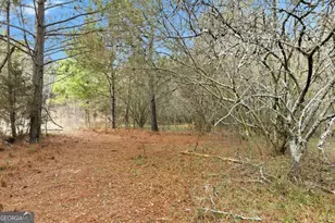 760 Fortson Compton Rd, Comer, GA 30629 - Photo 54