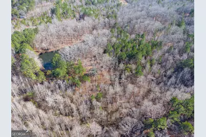 0 Levi Bradbury Road, Moreland, GA 30259 - Photo 4