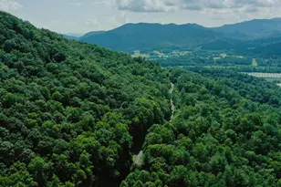 0 Shake Hollow Dr, Rabun Gap, GA 30568 - Photo 1