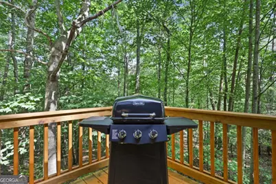 166 Nantahala Pass Road, Blue Ridge, GA 30513 - Photo 36