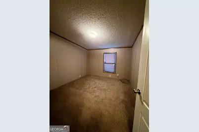 50 David Road, Hampton, GA 30228 - Photo 12