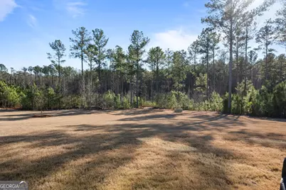 326 Atlantica Drive, Newnan, GA 30263 - Photo 18