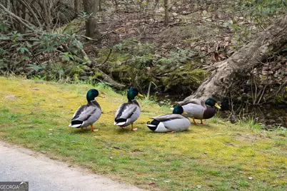 4 Evergreen Trail, Cleveland, GA 30528 - Photo 20