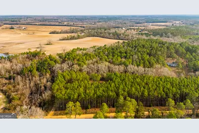 646 Bonnett Road, Portal, GA 30450 - Photo 18