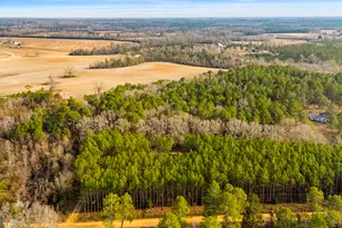 646 Bonnett Rd, Portal, GA 30450 - Photo 18