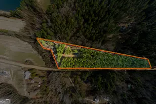 646 Bonnett Rd, Portal, GA 30450 - Photo 16