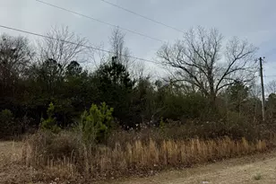 0 Mathis Rd, Sandersville, GA 31082 - Photo 1