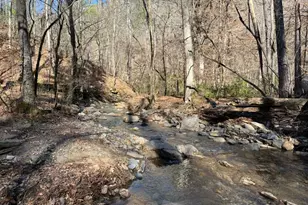 1769 Longbranch Dr, Ranger, GA 30734 - Photo 1