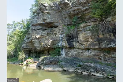 1769 Longbranch Drive, Ranger, GA 30734 - Photo 24