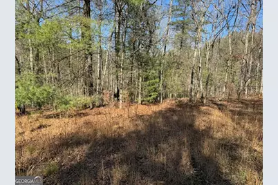 1769 Longbranch Drive, Ranger, GA 30734 - Photo 6