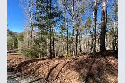 1769 Longbranch Drive, Ranger, GA 30734 - Photo 10