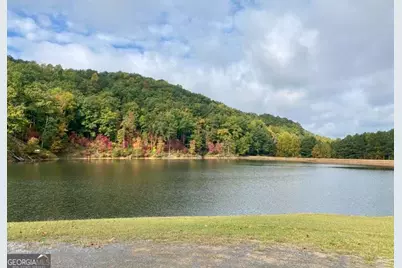 1769 Longbranch Drive, Ranger, GA 30734 - Photo 20