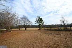 83 Will Smith Rd, Broxton, GA 31519 - Photo 30