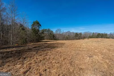 0 Thomas Street, Roopville, GA 30170 - Photo 6