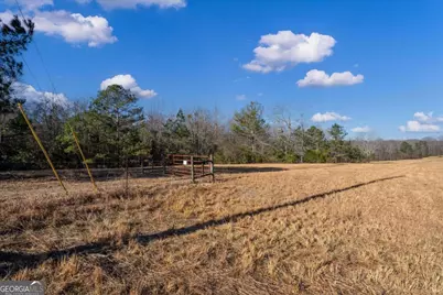 0 Thomas Street, Roopville, GA 30170 - Photo 4