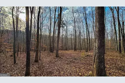 0 Thomas Street, Roopville, GA 30170 - Photo 28