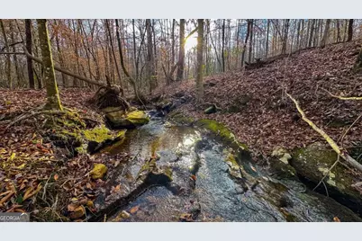 0 Thomas Street, Roopville, GA 30170 - Photo 30