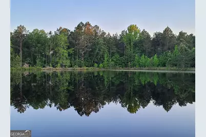 40 Drew Bennett Road, Midville, GA 30441 - Photo 2