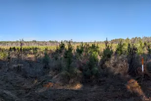 40 Drew Bennett Rd, Midville, GA 30441 - Photo 28