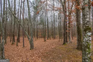 1578 Ga Hwy 208, Hamilton, GA 31811 - Photo 68