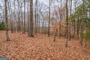 1578 Ga Hwy 208, Hamilton, GA 31811 - Photo 70