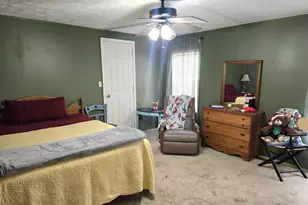 5500 Ga Hwy 88 W, Stapleton, GA 30823 - Photo 8