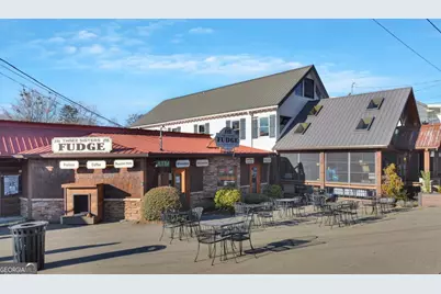 196 Grayson Point, Blue Ridge, GA 30513 - Photo 56