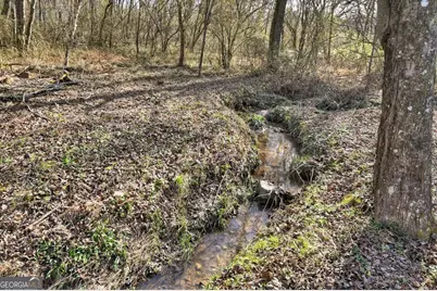 10967 Old Hwy 76, Morganton, GA 30560 - Photo 26