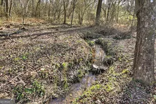 10967 Old Hwy 76, Morganton, GA 30560 - Photo 26