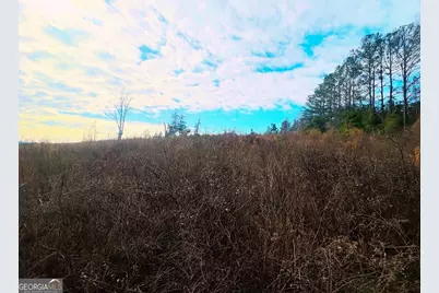 0 County Road 309 #TRACT A, Skipperville, AL 36374 - Photo 18