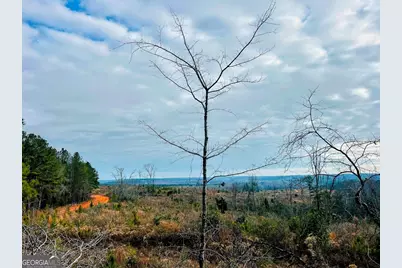 0 County Road 309 #TRACT A, Skipperville, AL 36374 - Photo 10