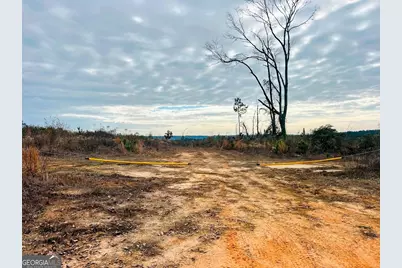 0 County Road 309 #TRACT A, Skipperville, AL 36374 - Photo 6