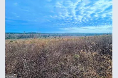 0 County Road 309 #TRACT A, Skipperville, AL 36374 - Photo 16