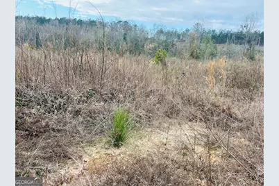 0 County Road 309 #TRACT A, Skipperville, AL 36374 - Photo 2