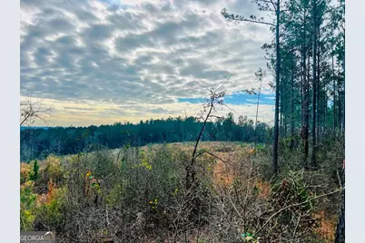 0 County Road 309 #TRACT A, Skipperville, AL 36374 - Photo 12