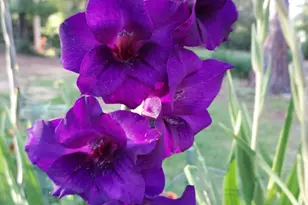 2601 Ridgewood Ln, Albany, GA 31707 - Photo 48