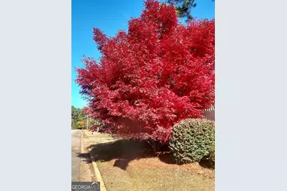 2601 Ridgewood Lane, Albany, GA 31707 - Photo 52