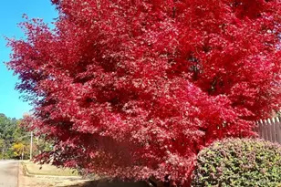 2601 Ridgewood Ln, Albany, GA 31707 - Photo 52