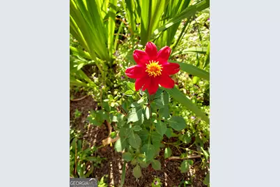 2601 Ridgewood Lane, Albany, GA 31707 - Photo 56